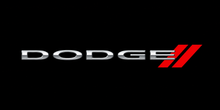 画像をギャラリービューアに読み込む, DODGE
